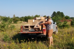 20180803_082845_20180822_1177410406