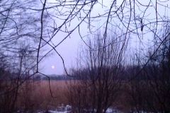 01_20150307_1909228038