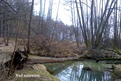 06_20150307_1147855086