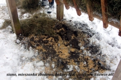 08_20120714_1679112446