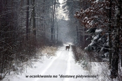 10_20120714_1479278543