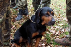 05_20120714_2092586940