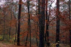 07_20120714_1591537840