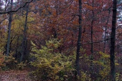 09_20120714_1552303343