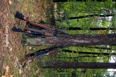 17_20120709_1644350770