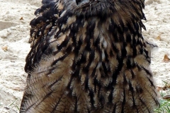 018_20120714_1681981959