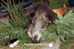 04_20120714_1931110817