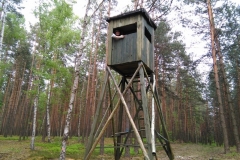 img_20150516_181620_20150519_1178158572