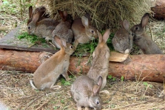 09_20140911_1888867216