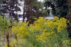 01_20120714_1021410069