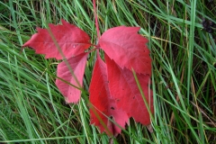 02_20120714_2056168011