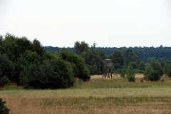 03_20120714_1943405573