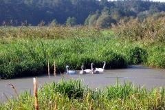 04_20120714_1361824042