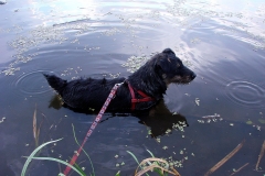 05_20120714_1404910692