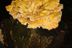 06_20120714_1966664063