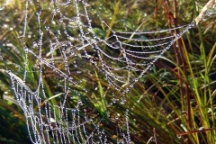 07_20120714_2022002134