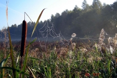 10_20120714_1922558801