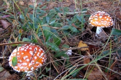 12_20120714_1128534995