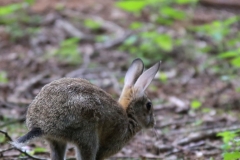 03_20170802_1598021826