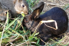 07_20150928_1878172046