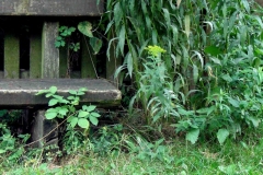 13_20150928_1860838311