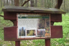 09_20120714_1185376995