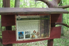 11_20120714_1041674688