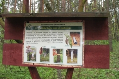 18_20120714_1829584293