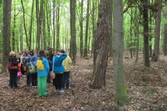 19_20120714_1971892577