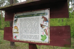 23_20120714_1827124497