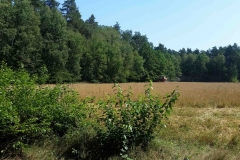 20150805_110650_20150808_1496794555