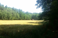 20150805_113941_20150808_1507668389