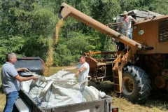 20150805_114559_20150808_1216240057