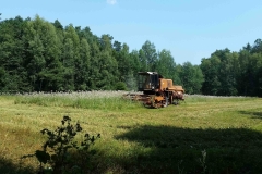 20150805_125356_20150808_1678381471