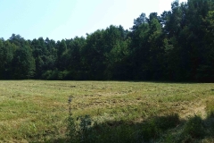 20150805_130619_20150808_1249188132