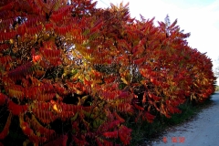 01_20141014_1973614721