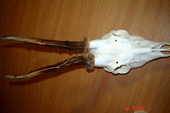 05_20141014_1972457236