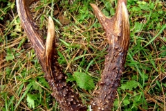 06_20141014_1656540799