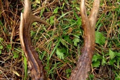 07_20141014_1107846968