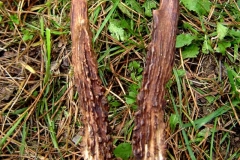 08_20141014_1770074142