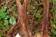 09_20141014_1892525015