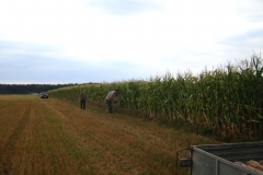 04_20170821_1762293476