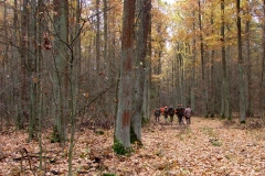 03_20161107_1159676431