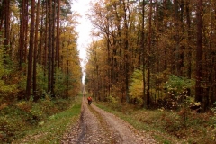 07_20161107_1323496980