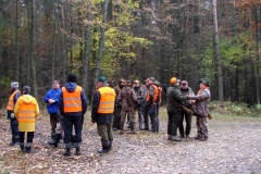 09_20161107_1815749975