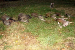 11_20161107_1857124521