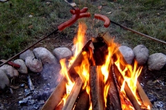 12_20161107_1863925614