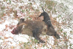 4_20120709_2084393036