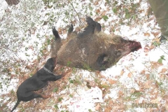 5_20120709_1469563024