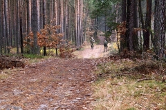 3_20120714_1267947902